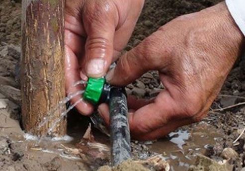 Important Points in Drip Irrigation Systems
