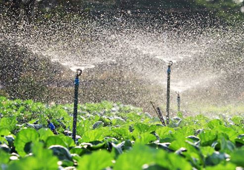 What Does Irrigation System do?