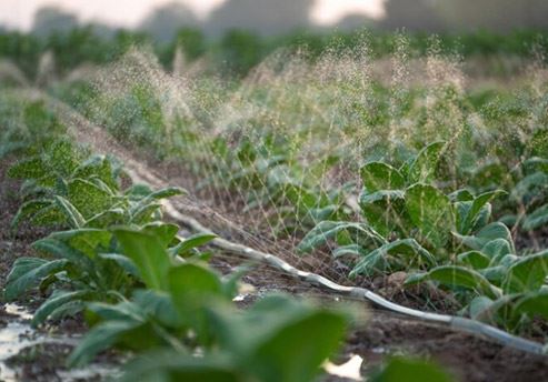 Purification in-Agricultural Irrigation