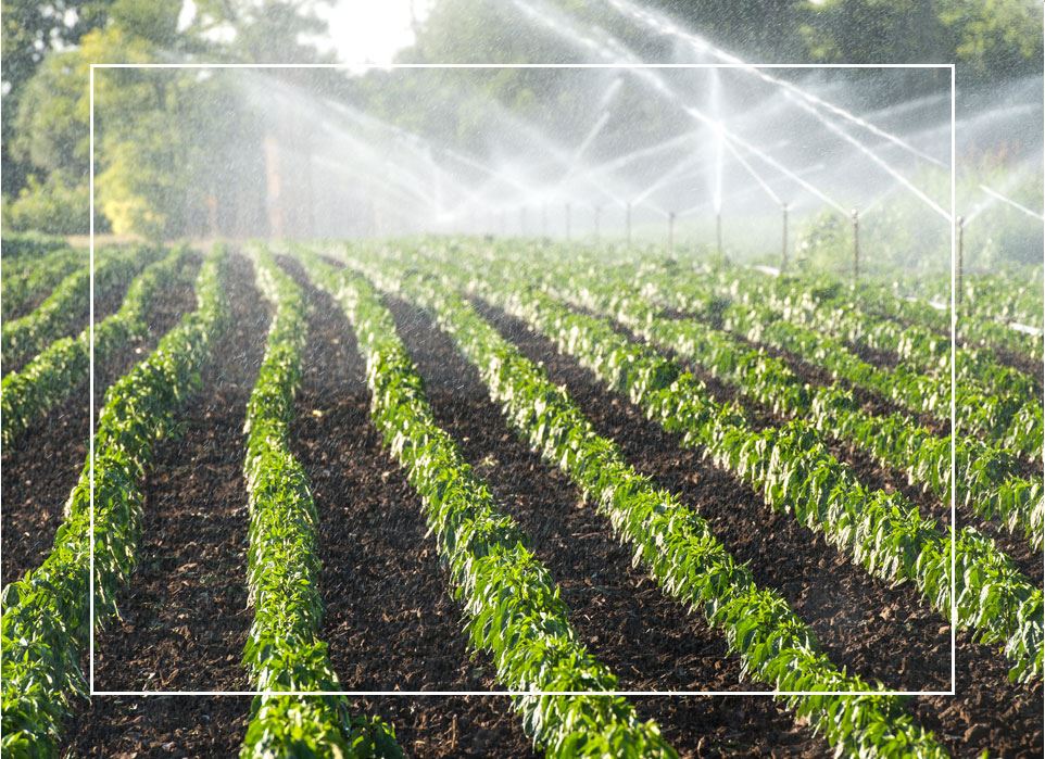 Tarımsal Damlama Sulama Filtre Sistemleri